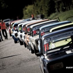 dzintara volga-4894